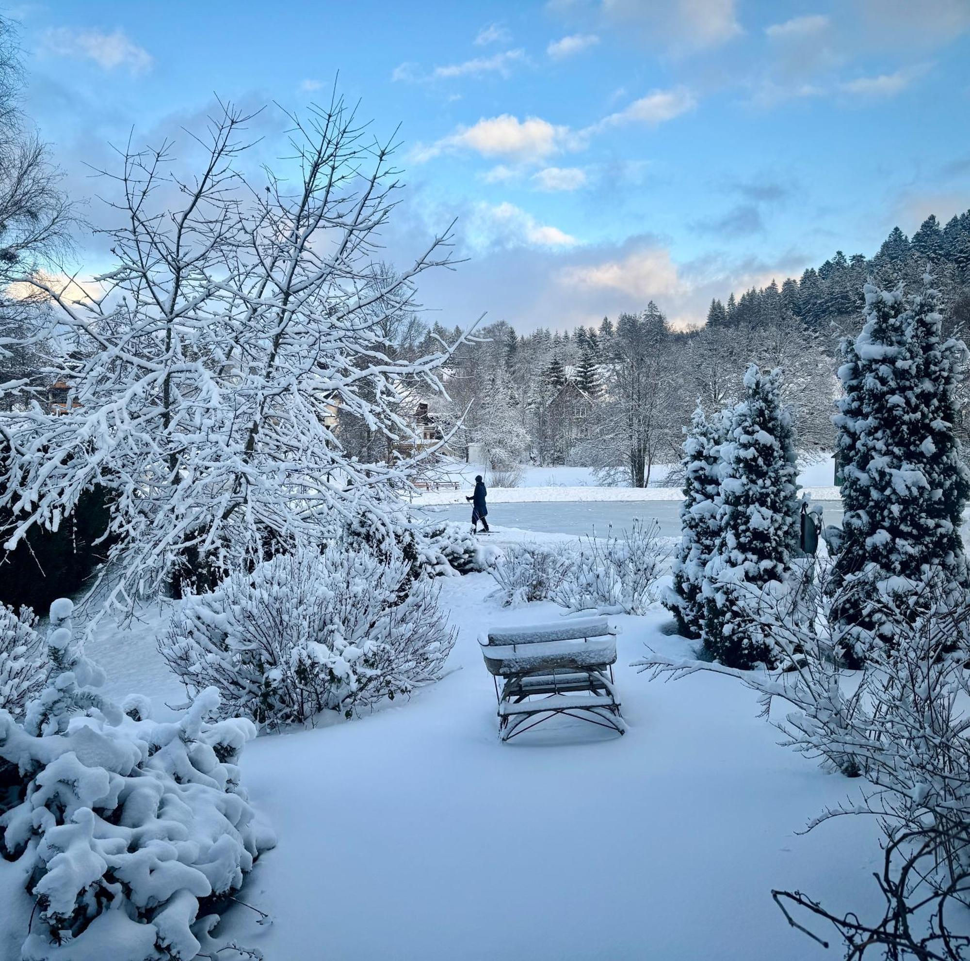 Hollhouse - Bed & Breakfast Hinterzarten Exterior foto